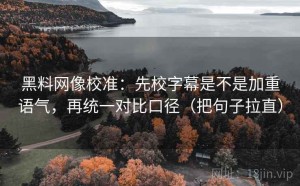 黑料网像校准：先校字幕是不是加重语气，再统一对比口径（把句子拉直）