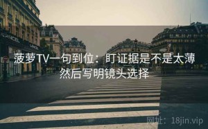 菠萝TV一句到位：盯证据是不是太薄然后写明镜头选择